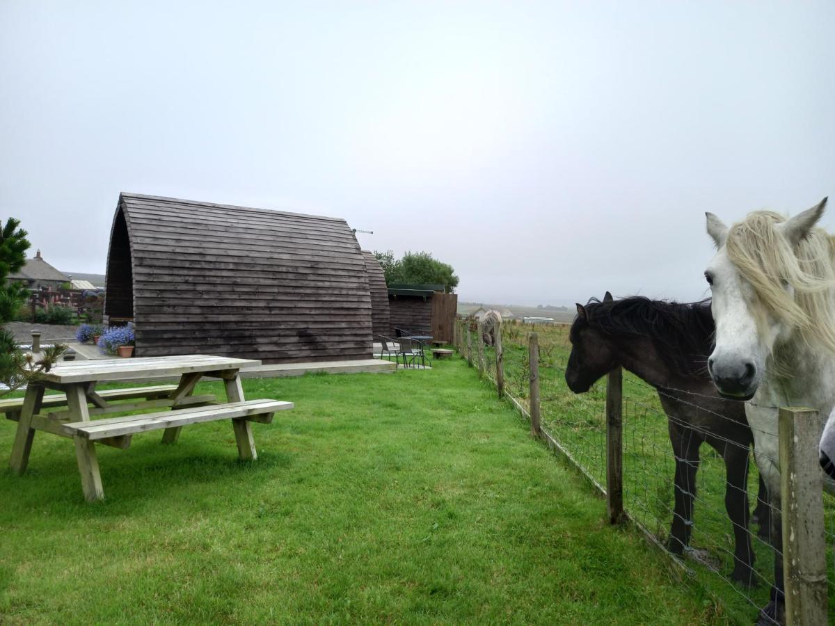 Hillside Camping Pods And Shepherd'S Hut Wick  Exterior photo